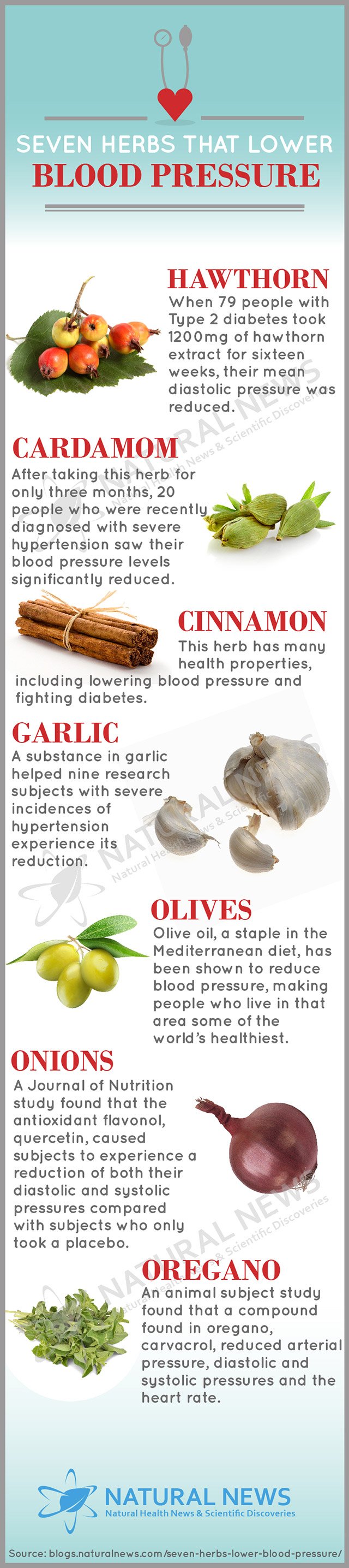 Infographic-Seven-Herbs-That-Lower-Blood-Pressure