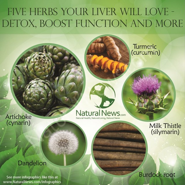 5-Herbs-Your-Liver-Will-Love